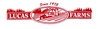 lucas logo in oval